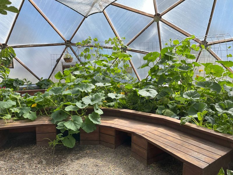 Better Success Rates With High-Altitude Gardening