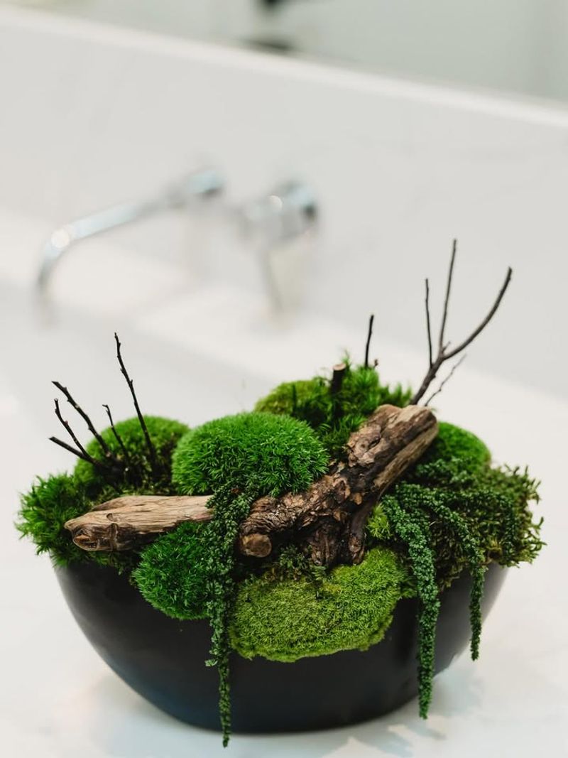 Why Moss Bowls Are The Perfect Winter Project For Anyone Wanting To Get Creative