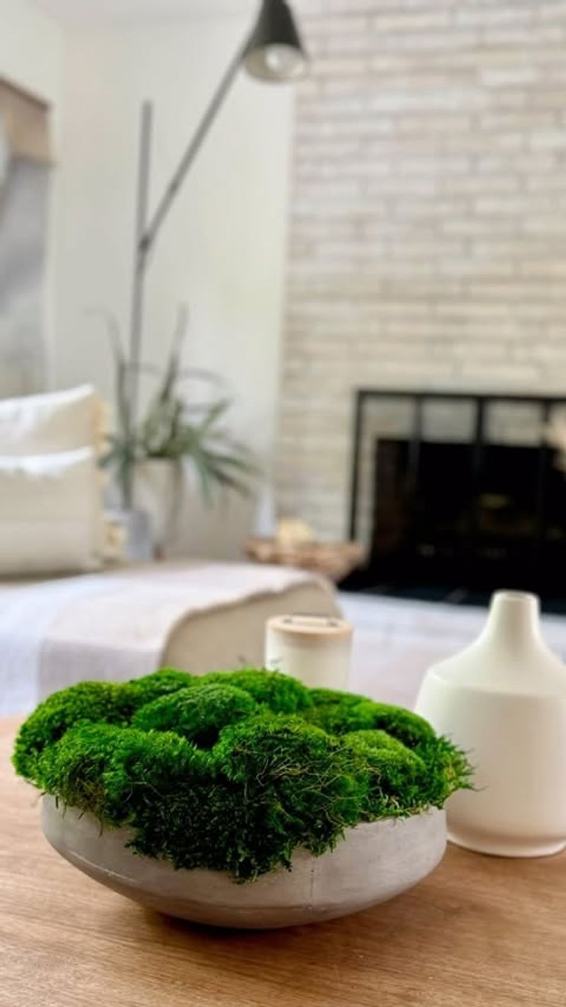 Why Moss Bowls Feel Like A Tiny Escape From Cold, Gray Weather