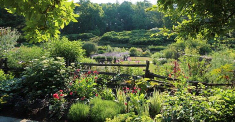 new york (featured image)