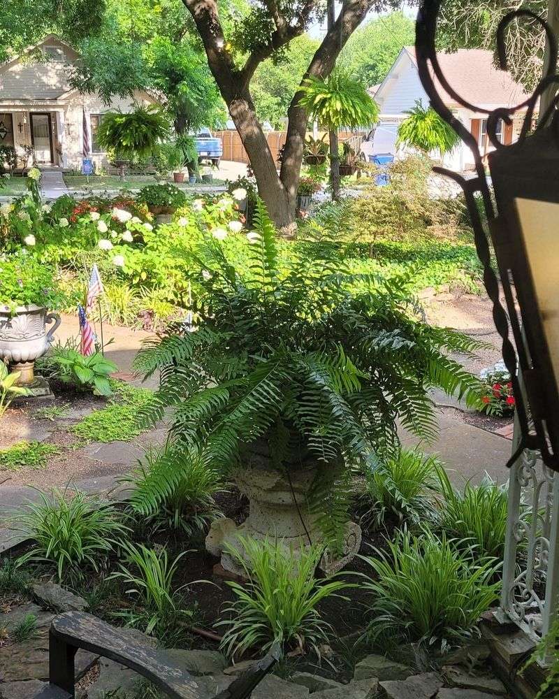 Rich Organic Matter In Soil Provides Constant Nutrition