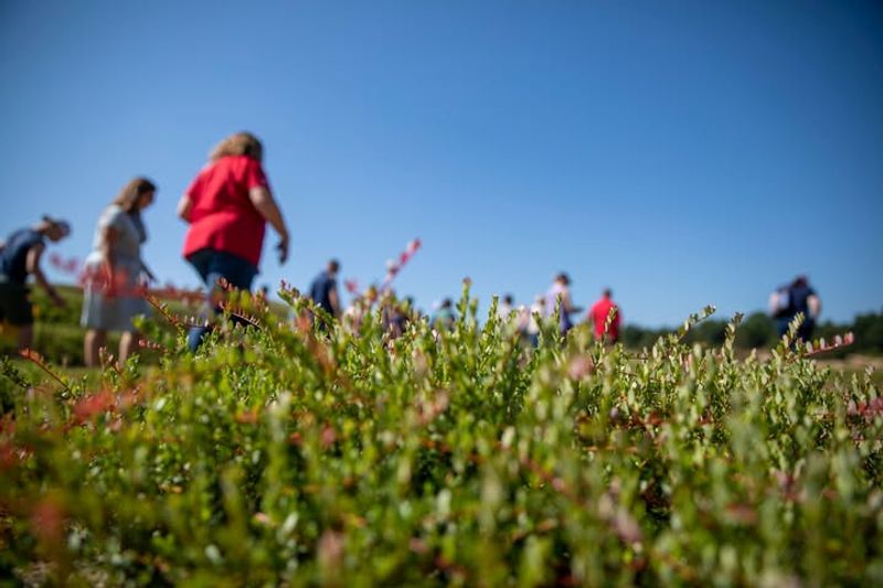 Everything Is Ready The Moment The Ground Thaws