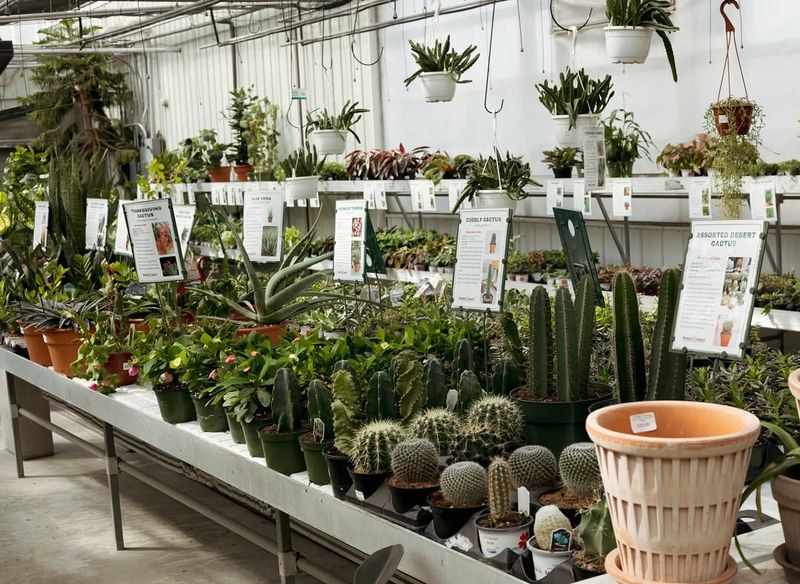 Supporting Local Michigan Businesses