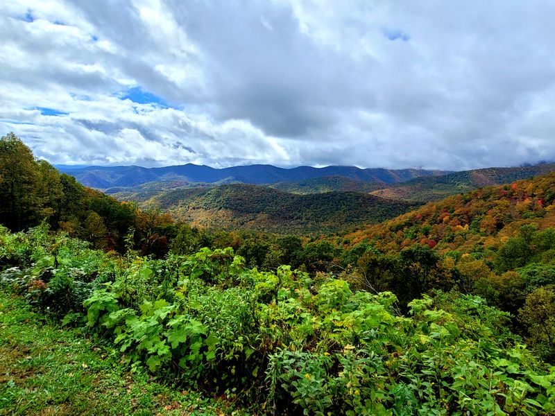Blue Ridge Mountain Views Throughout