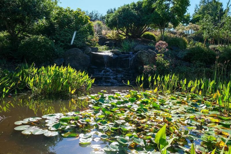 Water Features Add Tranquil Sensory Dimensions