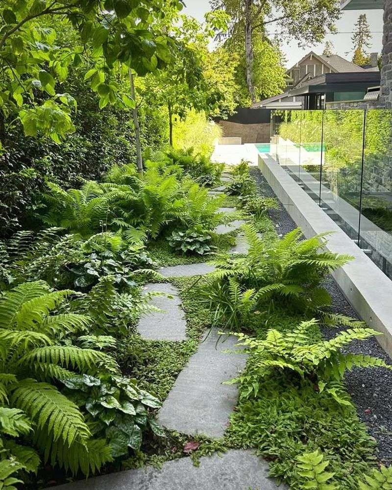 High Humidity Levels Prevent Frond Drying And Browning