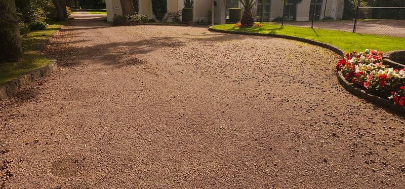 Municipal Codes Sometimes Address Tree Maintenance