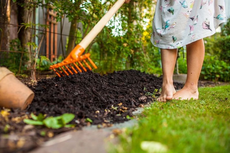 Mulch Garden Beds To Control Weeds And Temperature