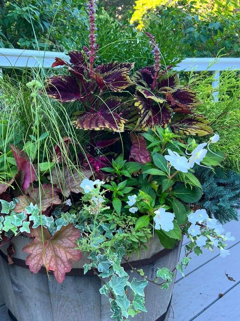 Select Plants That Can Survive Container Winters