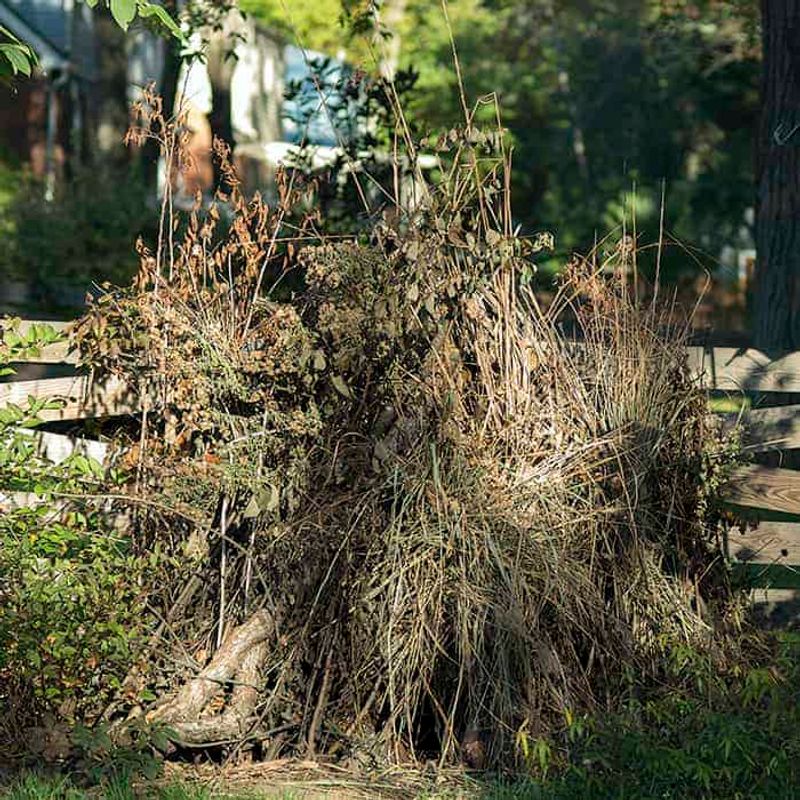 Create Brush Piles Or Log Stacks