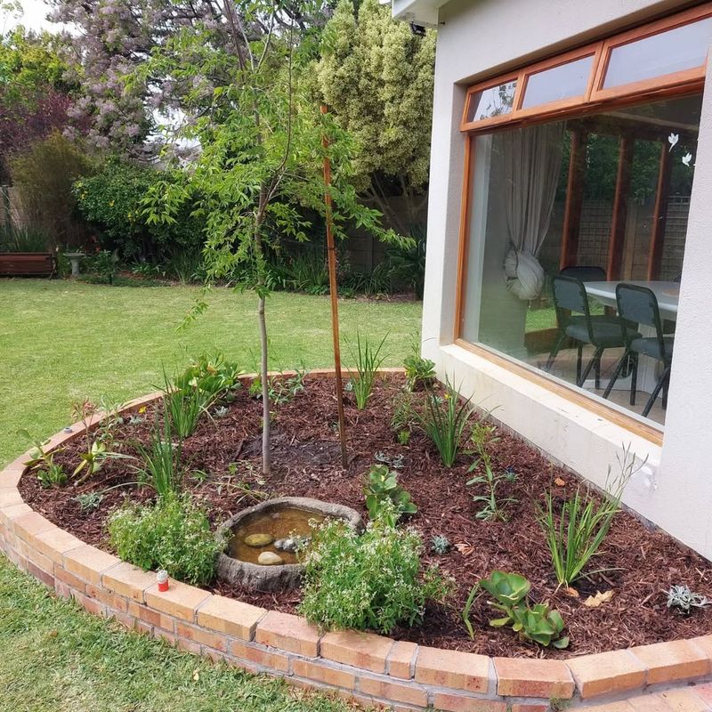 Reduce Lawn Size Gradually