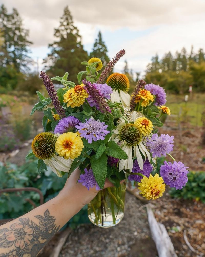 Create Beautiful Cut Flower Arrangements