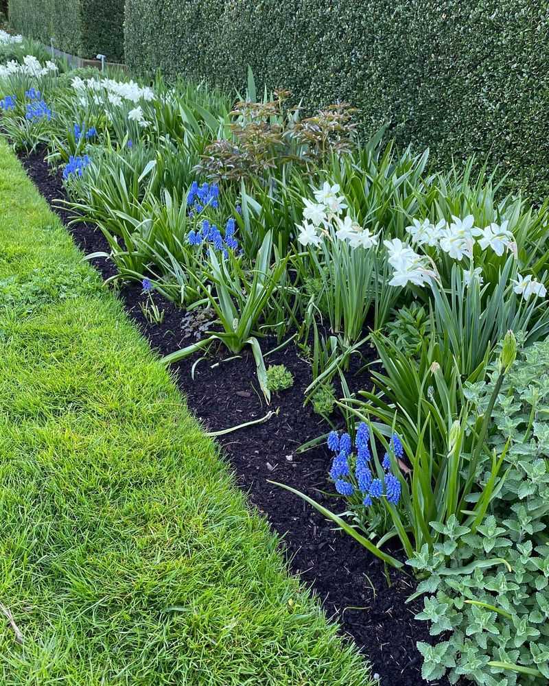 Redesigning Perennial Borders and Edges