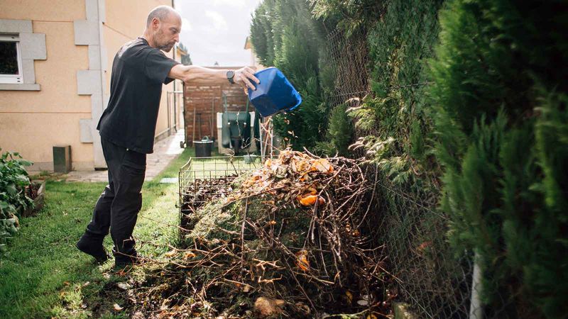 Home Composting Versus Municipal Services: What To Consider