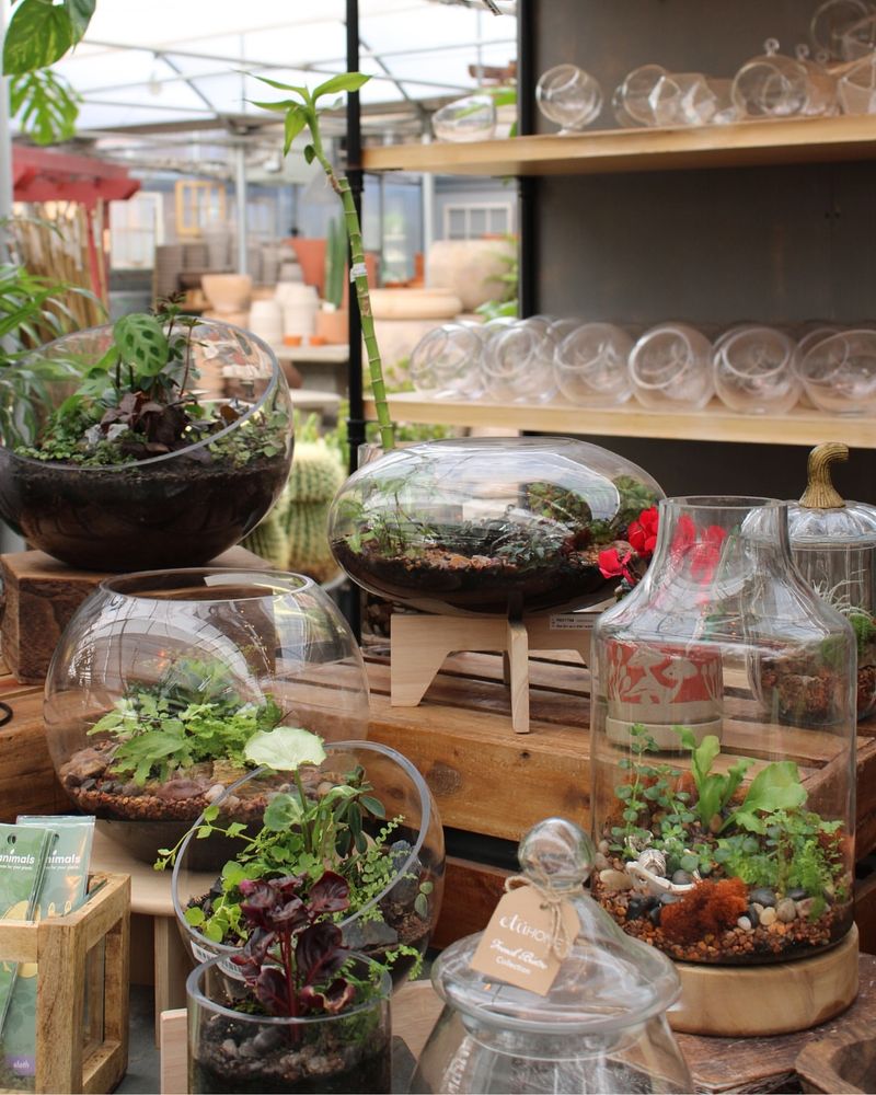 Requires Minimal Maintenance and Time