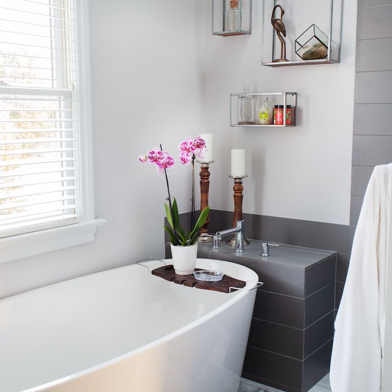 Maintain Proper Humidity Levels