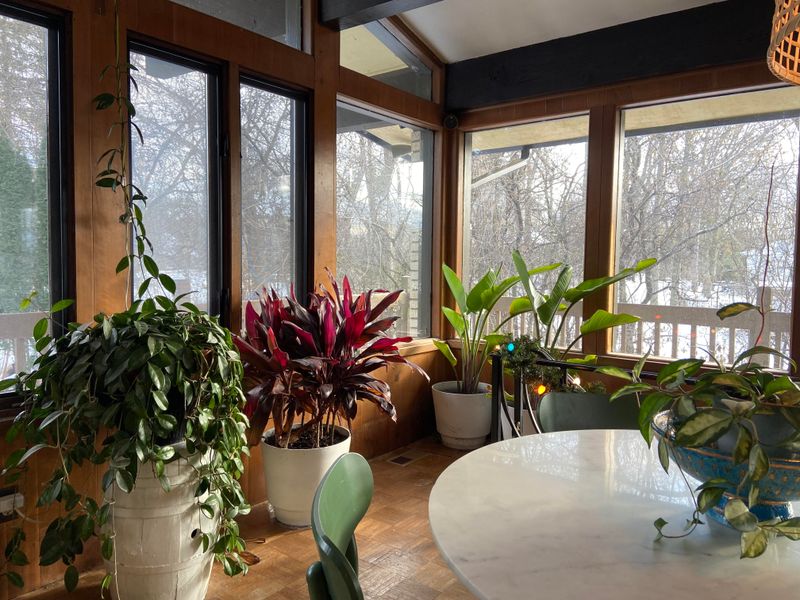 Protect Plants From Cold Drafts And Temperature Swings