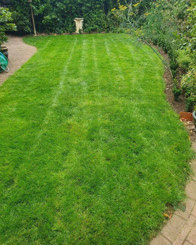 Safe For Kids And Pets