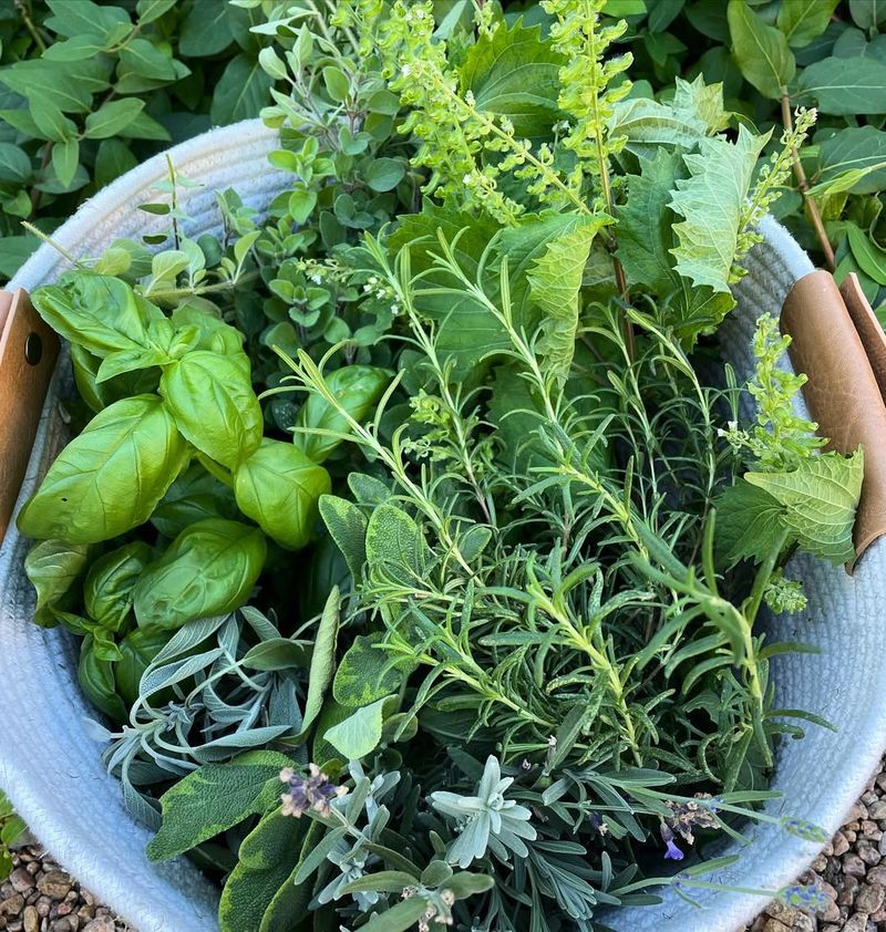 Fresh Herbs Improve Home Cooking Quality