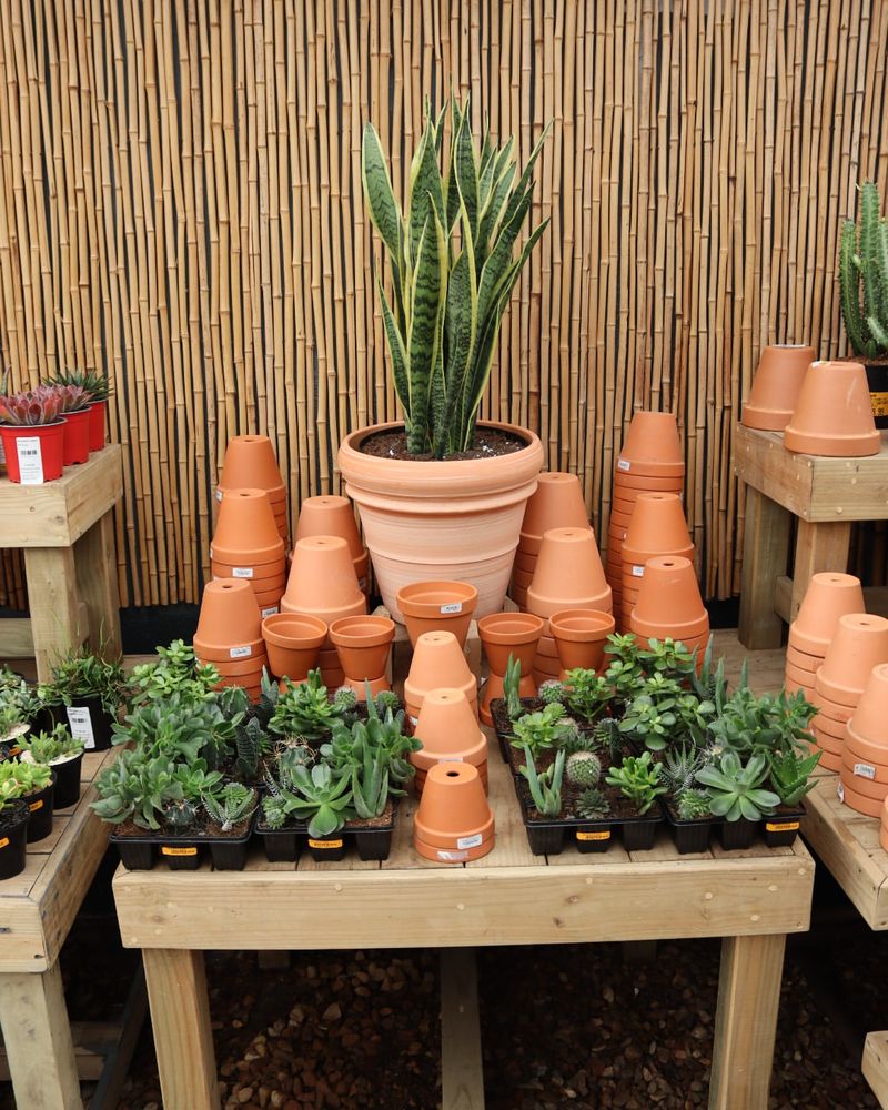 Encourages Healthier Root Development