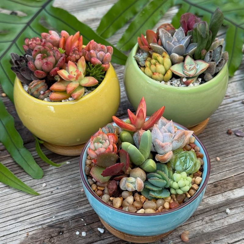 Protect Mini Gardens From Heavy Rain