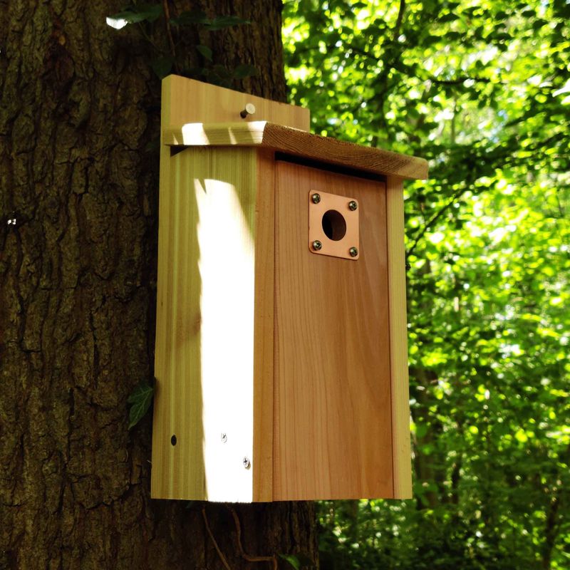 Providing Nesting Boxes Thoughtfully