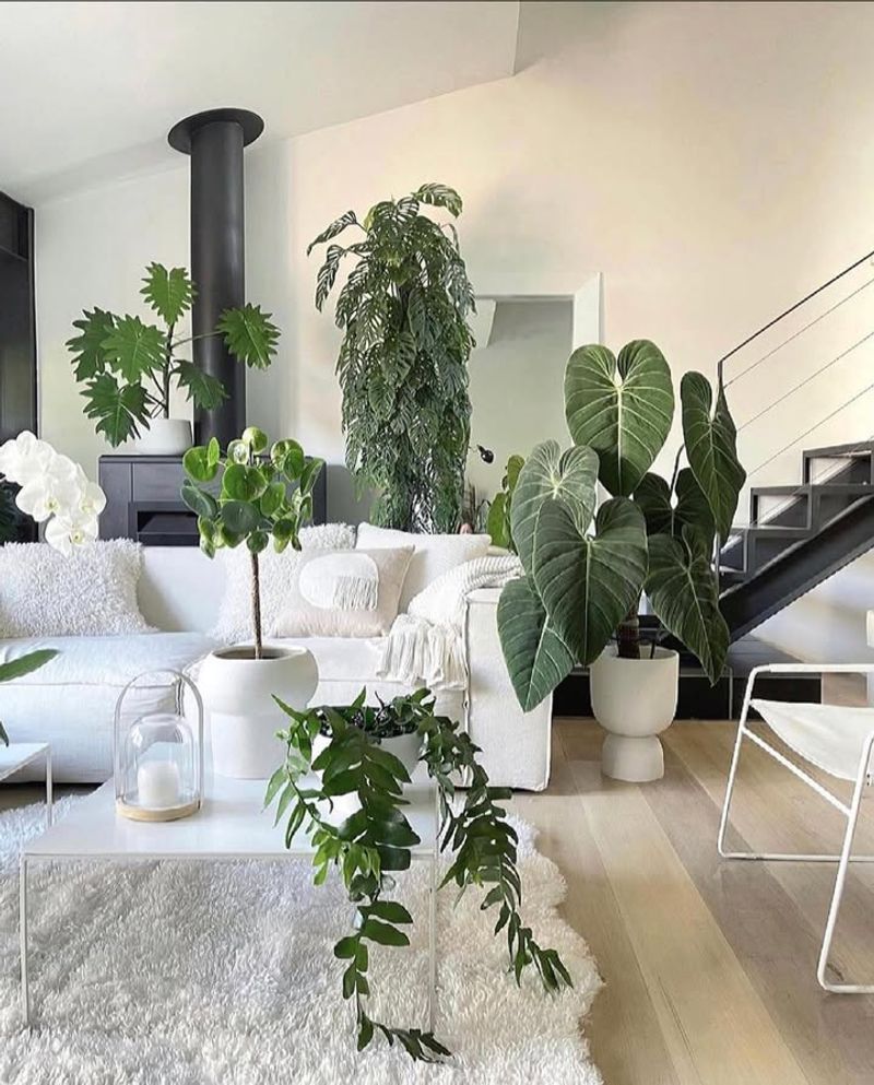 California Plant Lovers Mix Symbolism With Style