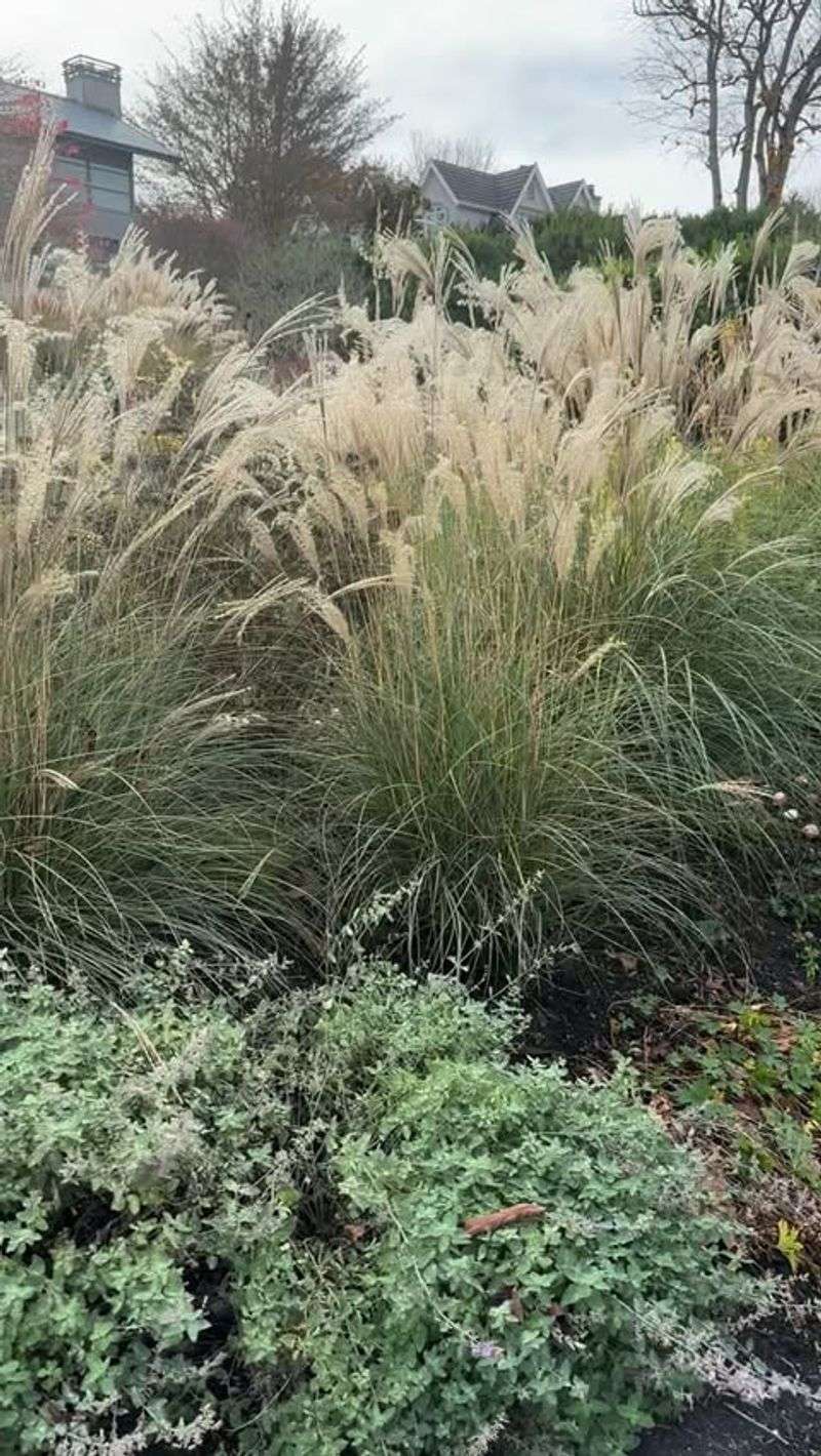 Choose Slug-Resistant Perennials