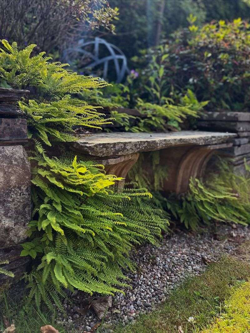 Inspiration For Home Gardeners And Landscapers