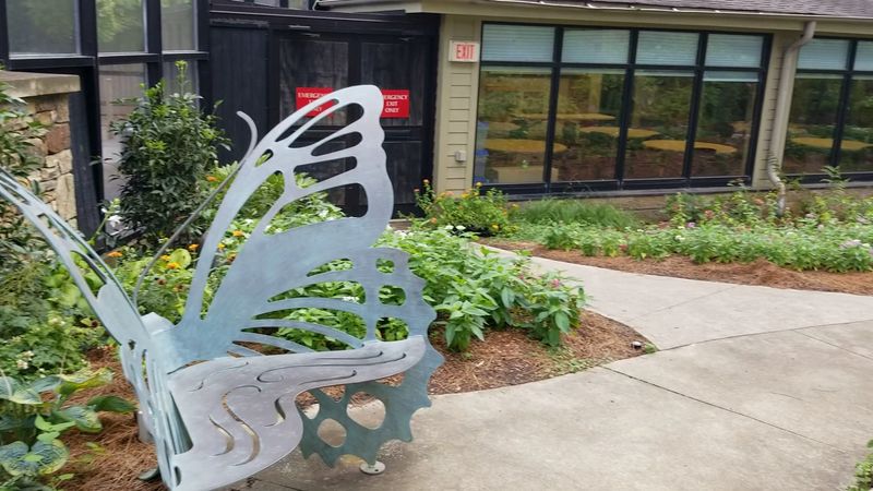 Butterfly House Experience