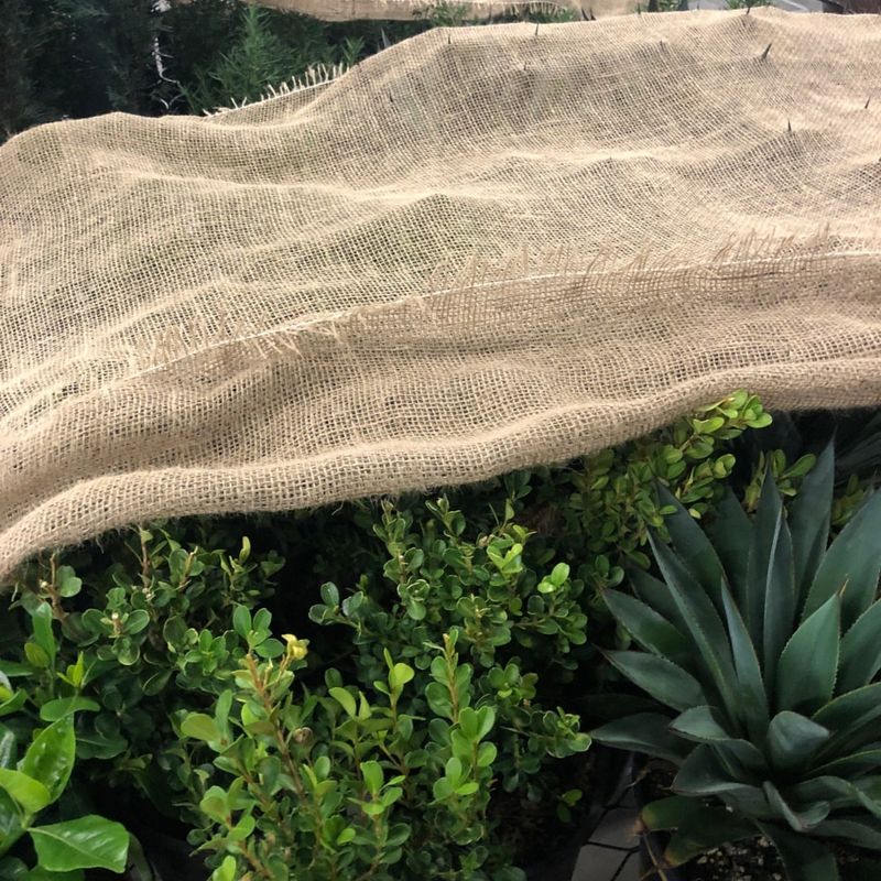 Install Windbreaks Or Burlap Screens