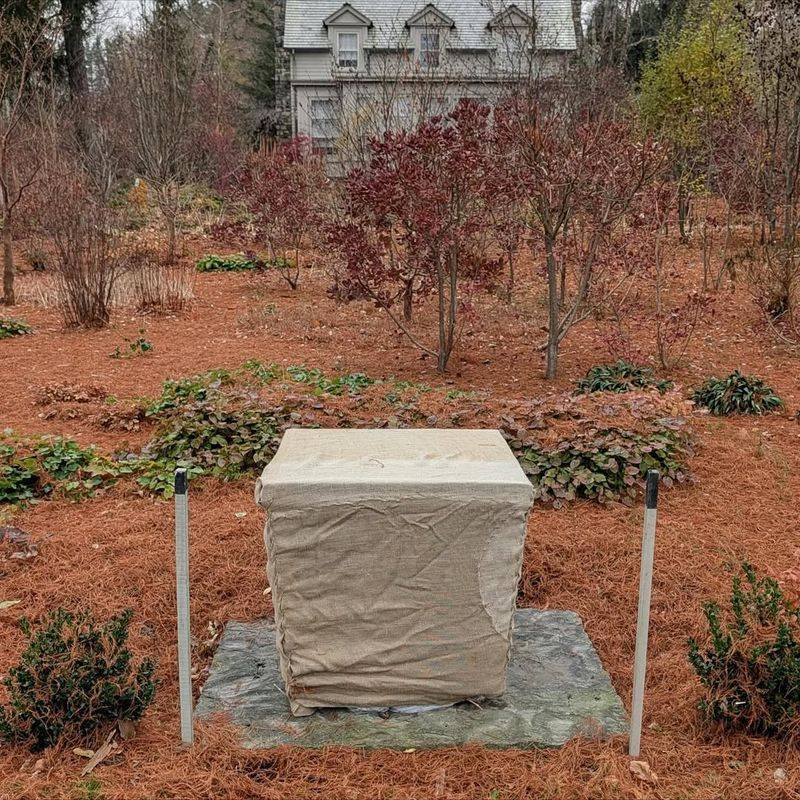 Install Burlap Windbreaks Around Shrubs