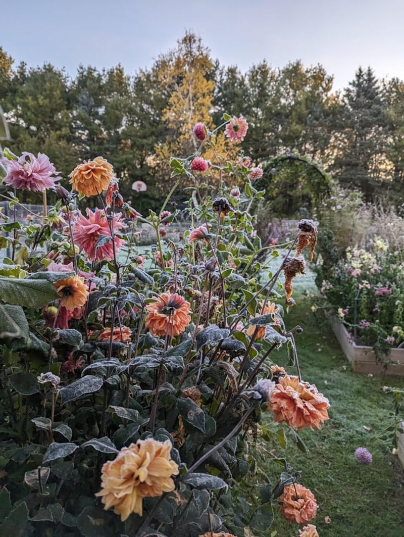 Monitor Weather Forecasts And Plan Ahead Carefully