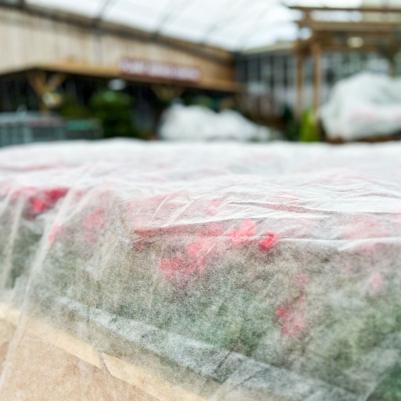 Use Frost Blankets Or Row Covers