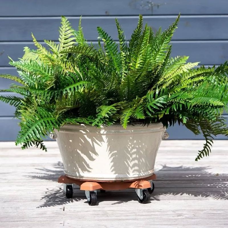 Elevate Planters Off Cold Ground Surfaces