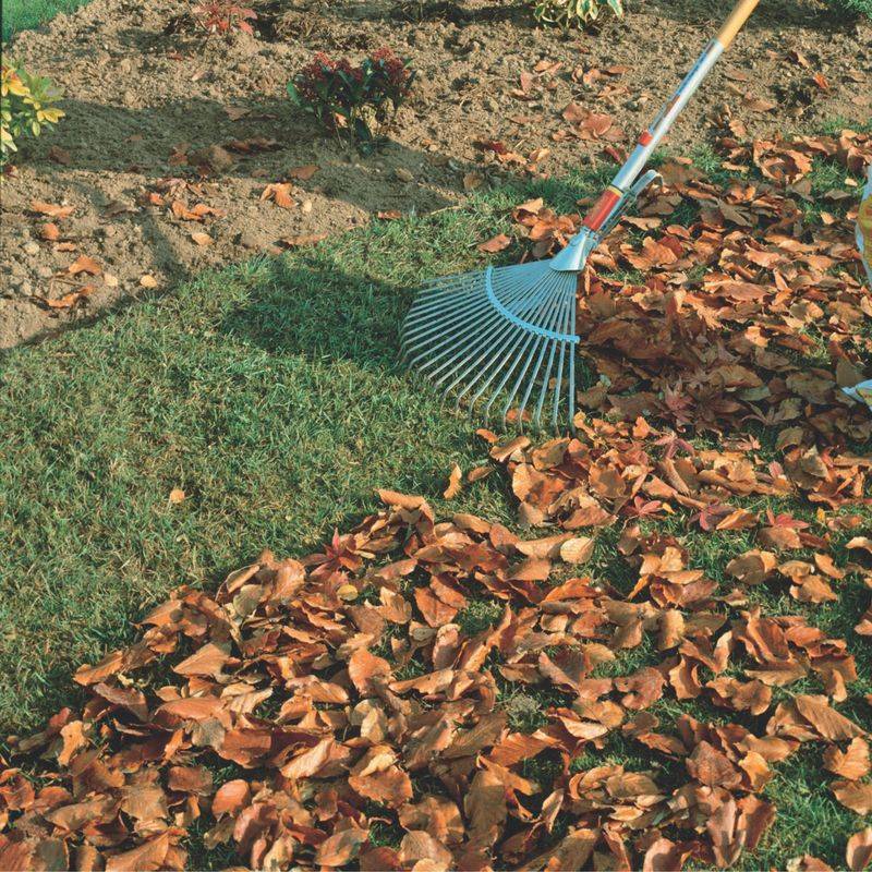Removing Leaf Litter And Plant Material