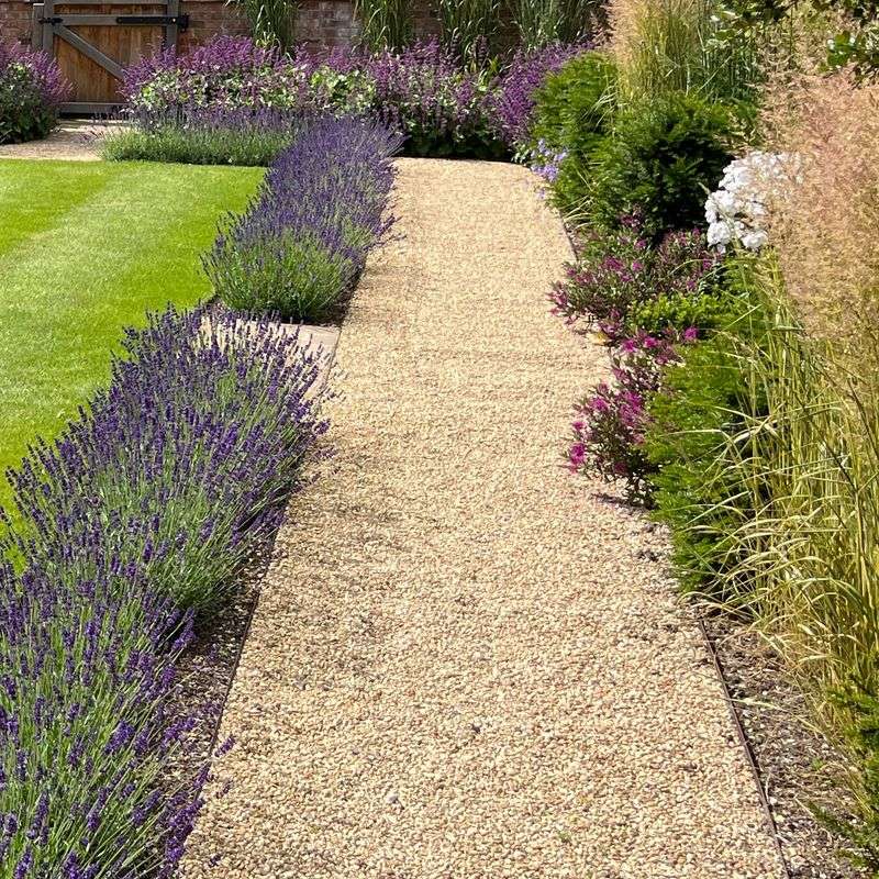 Selecting Drought-Tolerant Plants That Outcompete Weeds