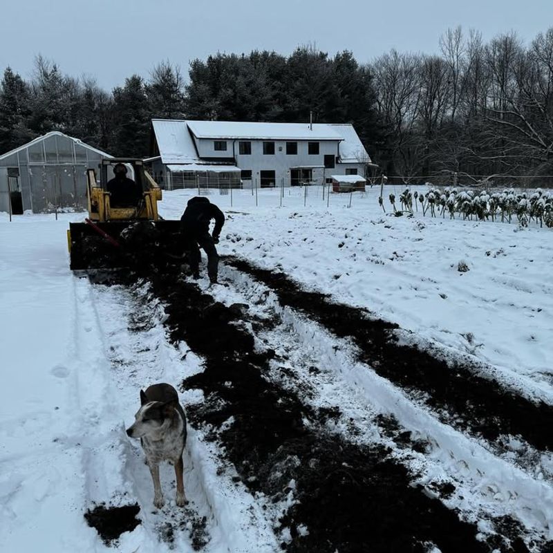 Piling Snow Mixed With De-Icer Onto Planting Areas