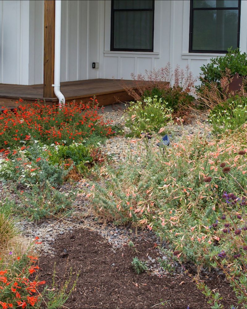 How To Maintain Trees, Shrubs, And Groundcover Under The New Guidelines