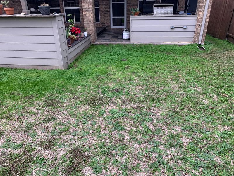 How Local Cities Are Enforcing The New Water-Use Guidelines