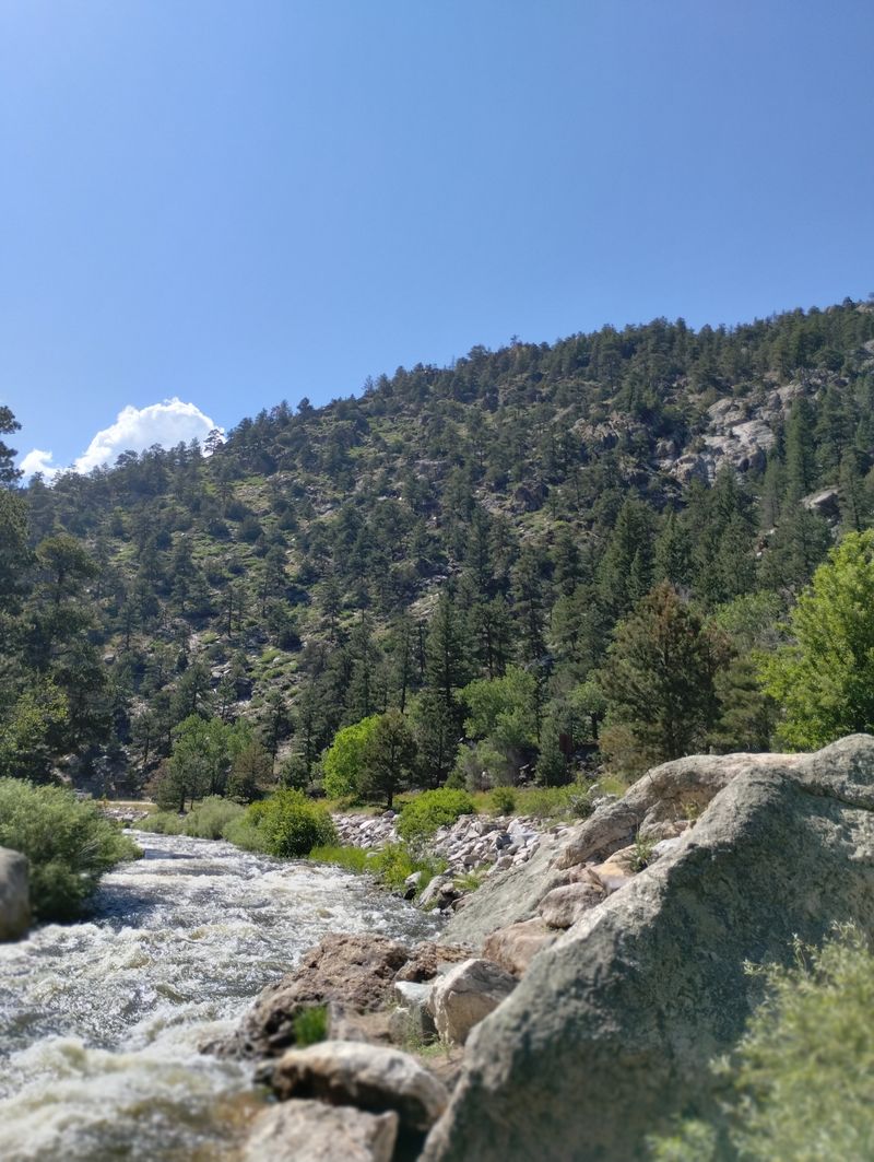 Roosevelt National Forest