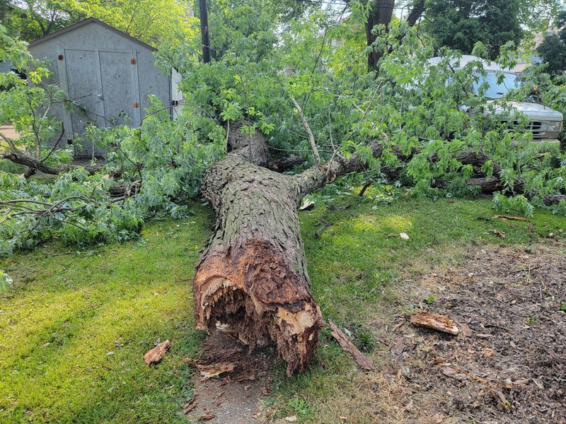 Small Claims Court Offers A Resolution Path