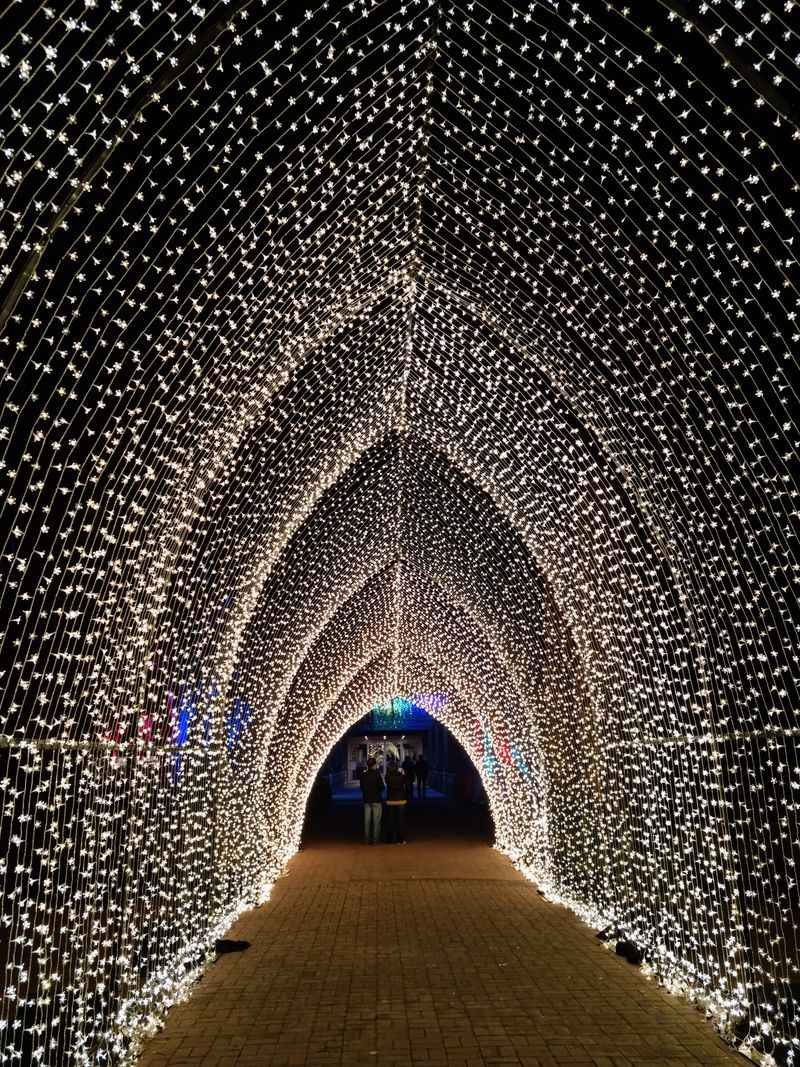 Affordable Admission Makes It Budget-Friendly Winter Entertainment