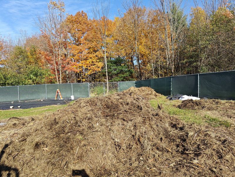 Property Owners Must Maintain Their Own Land