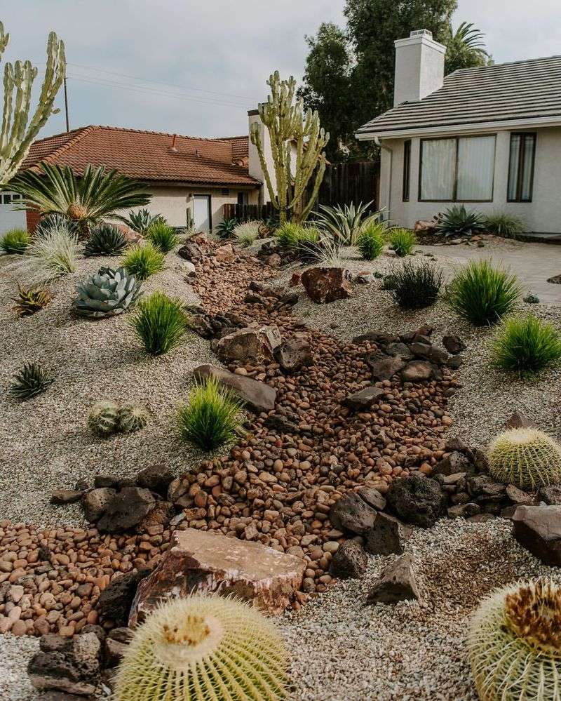 Rain Gardens And Dry Creek Beds