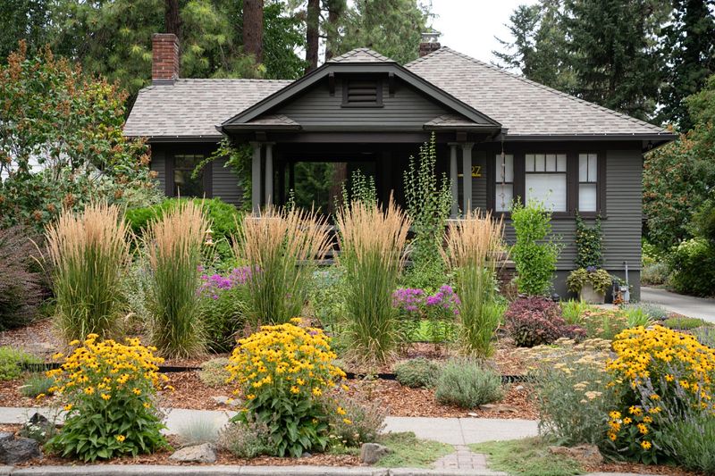 Xeriscaping Principles Transform Yards Into Water-Wise Showcases