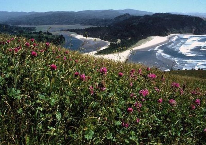 Salem's Grant Neighborhood