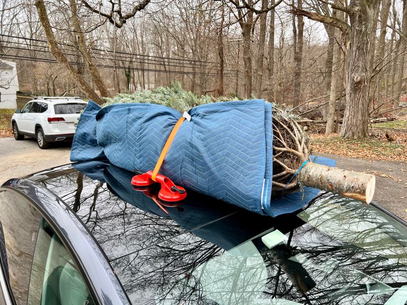 Plan For Safe Transportation Home