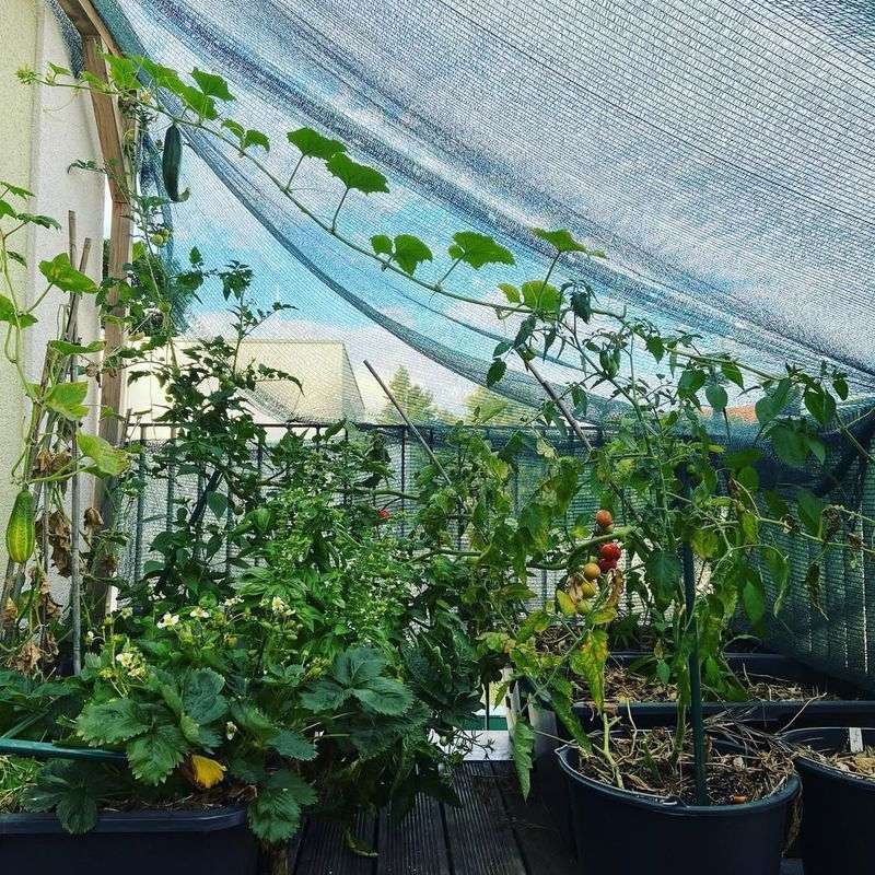 Improve Soil Quality With Organic Amendments