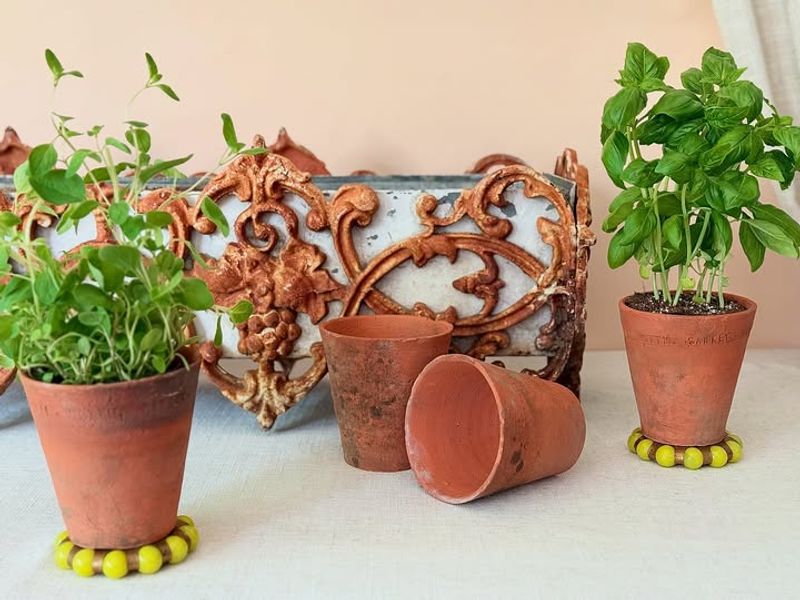 Repurpose Household Items as Planters and Garden Art